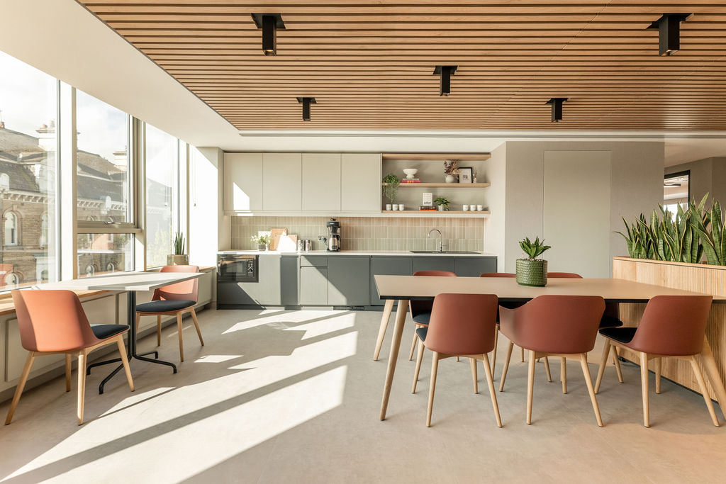 A Guide to Office Feature Ceilings for Corporate HQs and Modern Workplaces